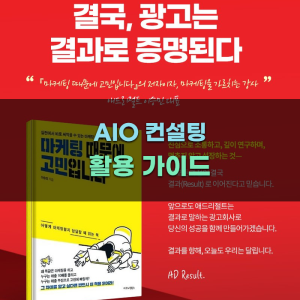 AIO 컨설팅 활용 가이드